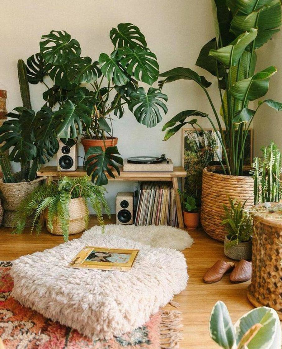 Fashion Decoração: Plantas🌴