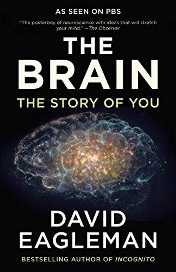 Book The Brain