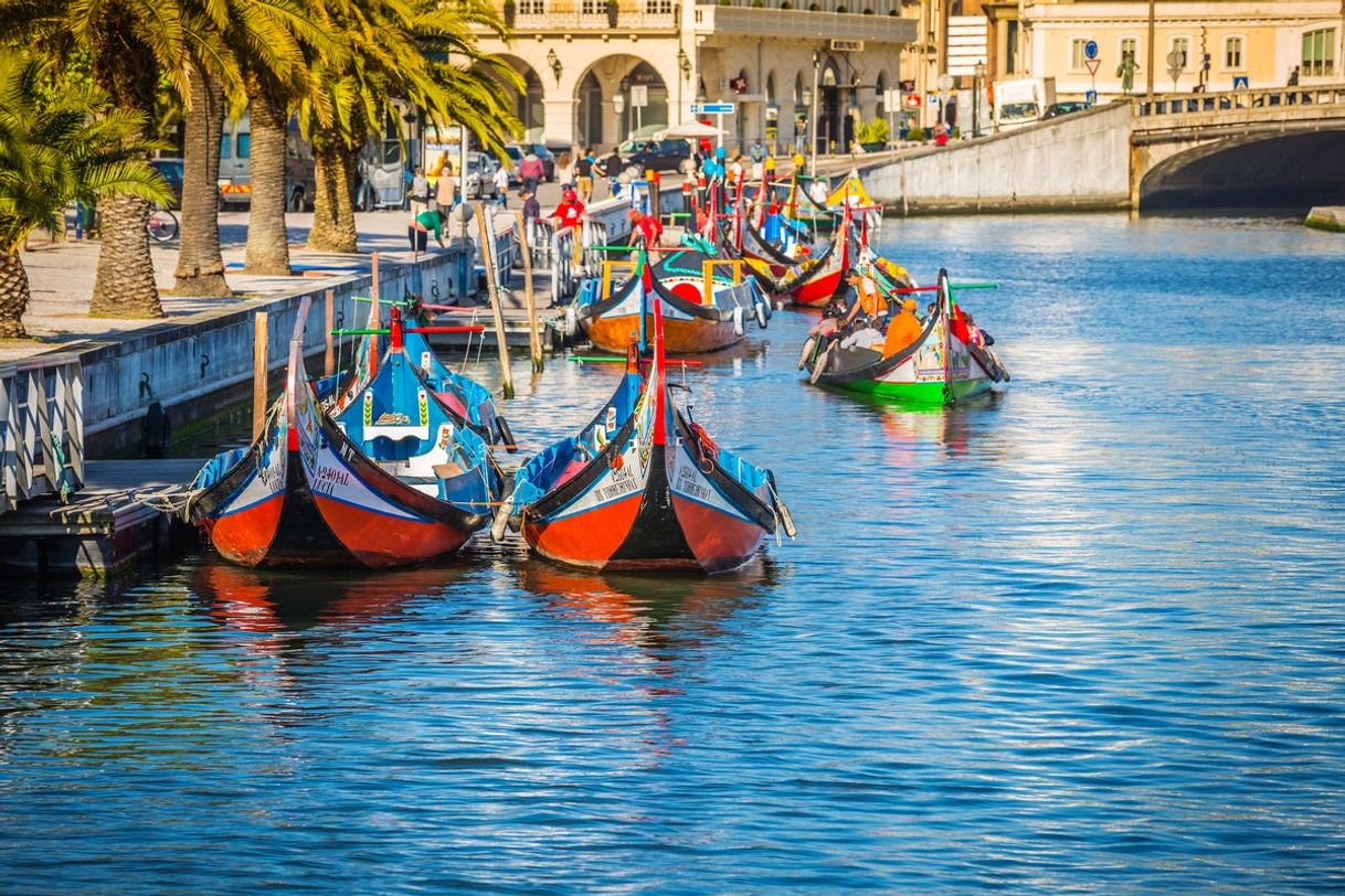 Social Passeio de Moliceiro (Aveiro)⛵