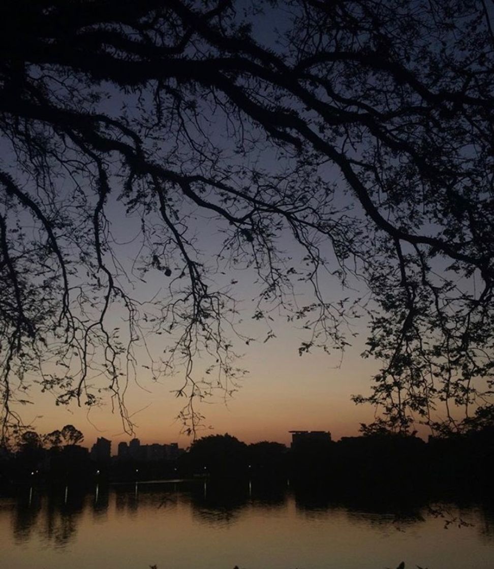 Place Parque Ibirapuera