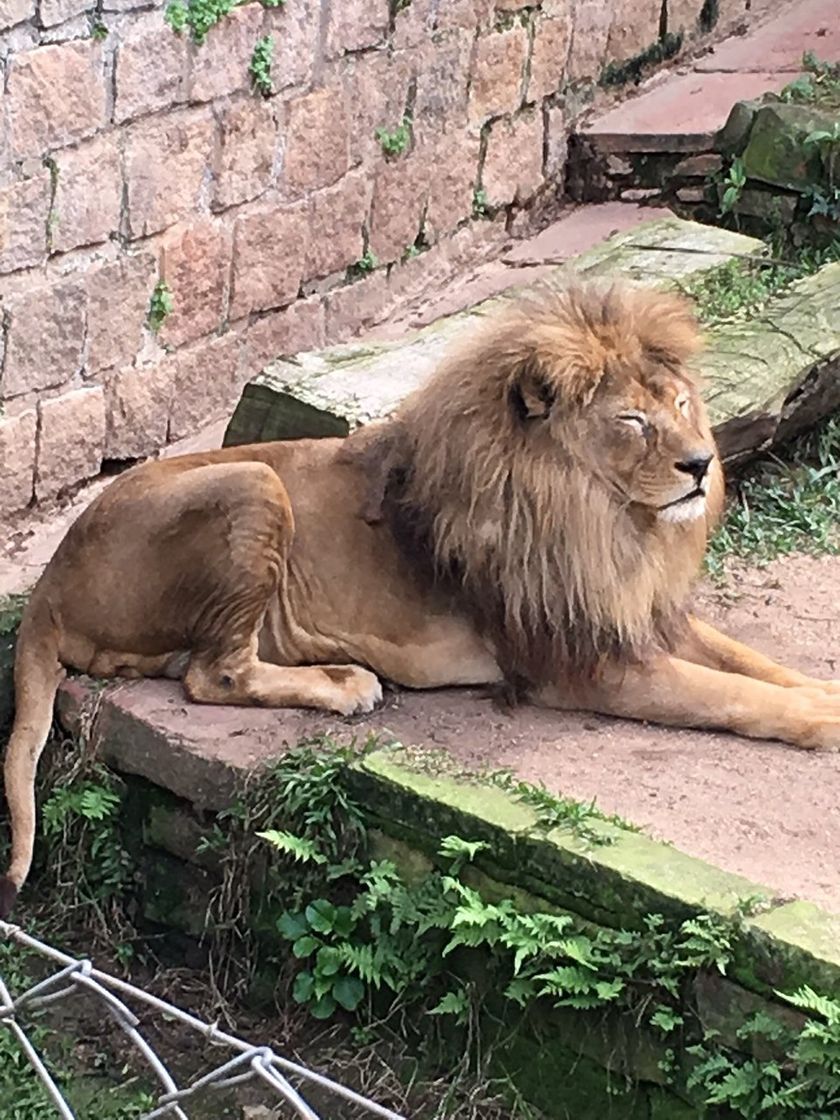 Lugar Zoológico de Sapucaia do Sul