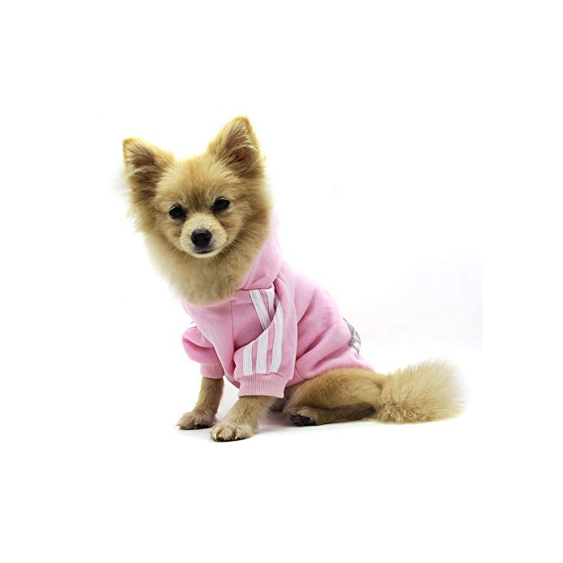 Social QiCheng&LYS Adidog Dog Hoodie Ropa, Mascota Cachorro Gato algodón Lindo cálido Sudadera