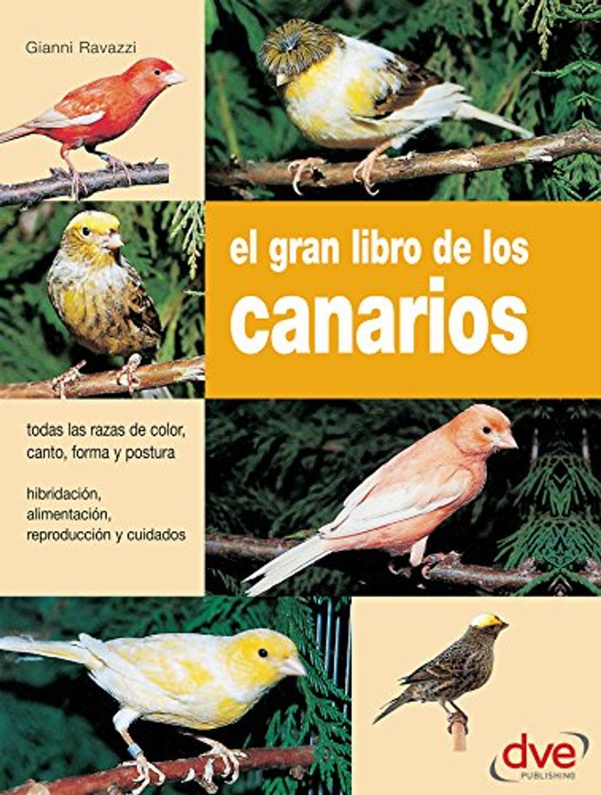 Product El gran libro de los canarios