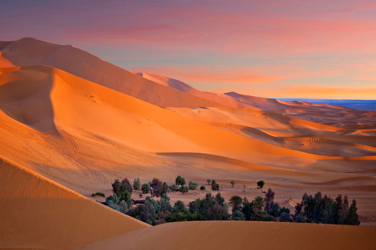 Place Sahara Desert