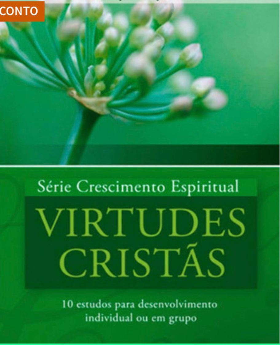 Libro Virtudes Cristãs 