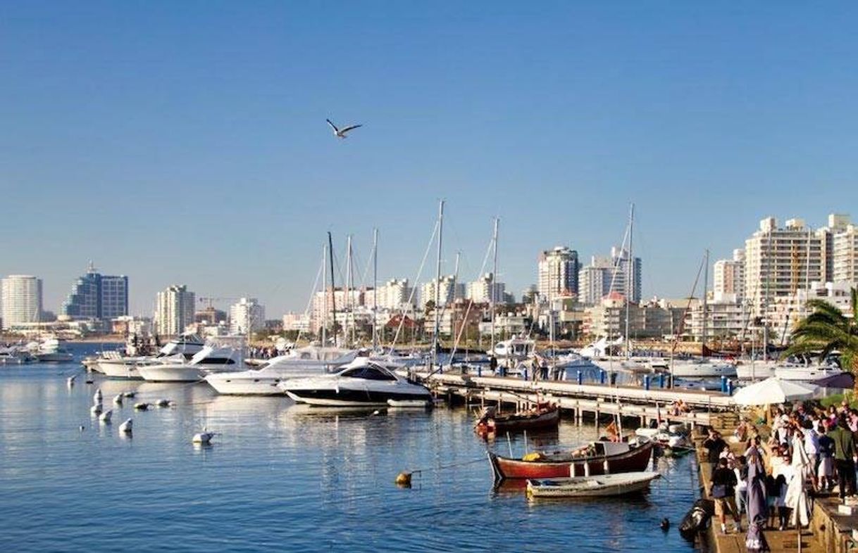 Lugar Punta del Este