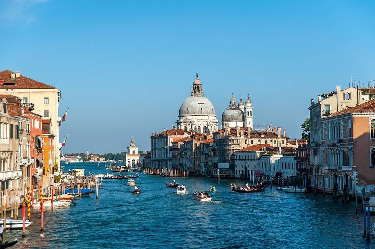 Place Venecia