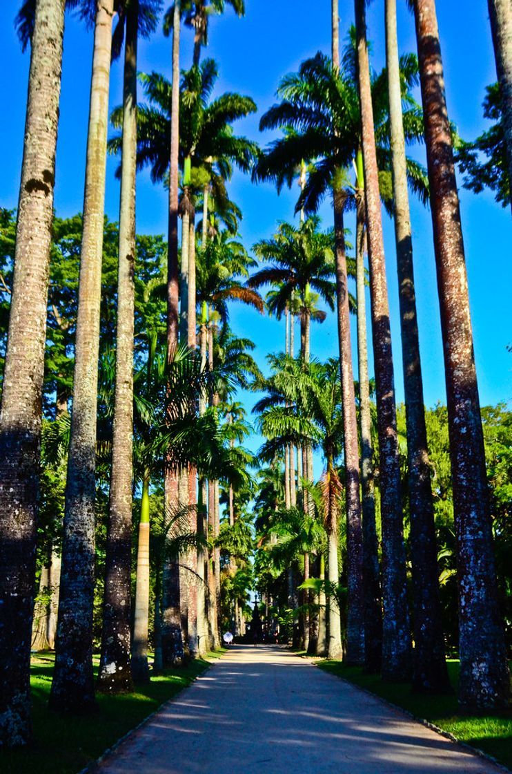 Place Jardim Botânico