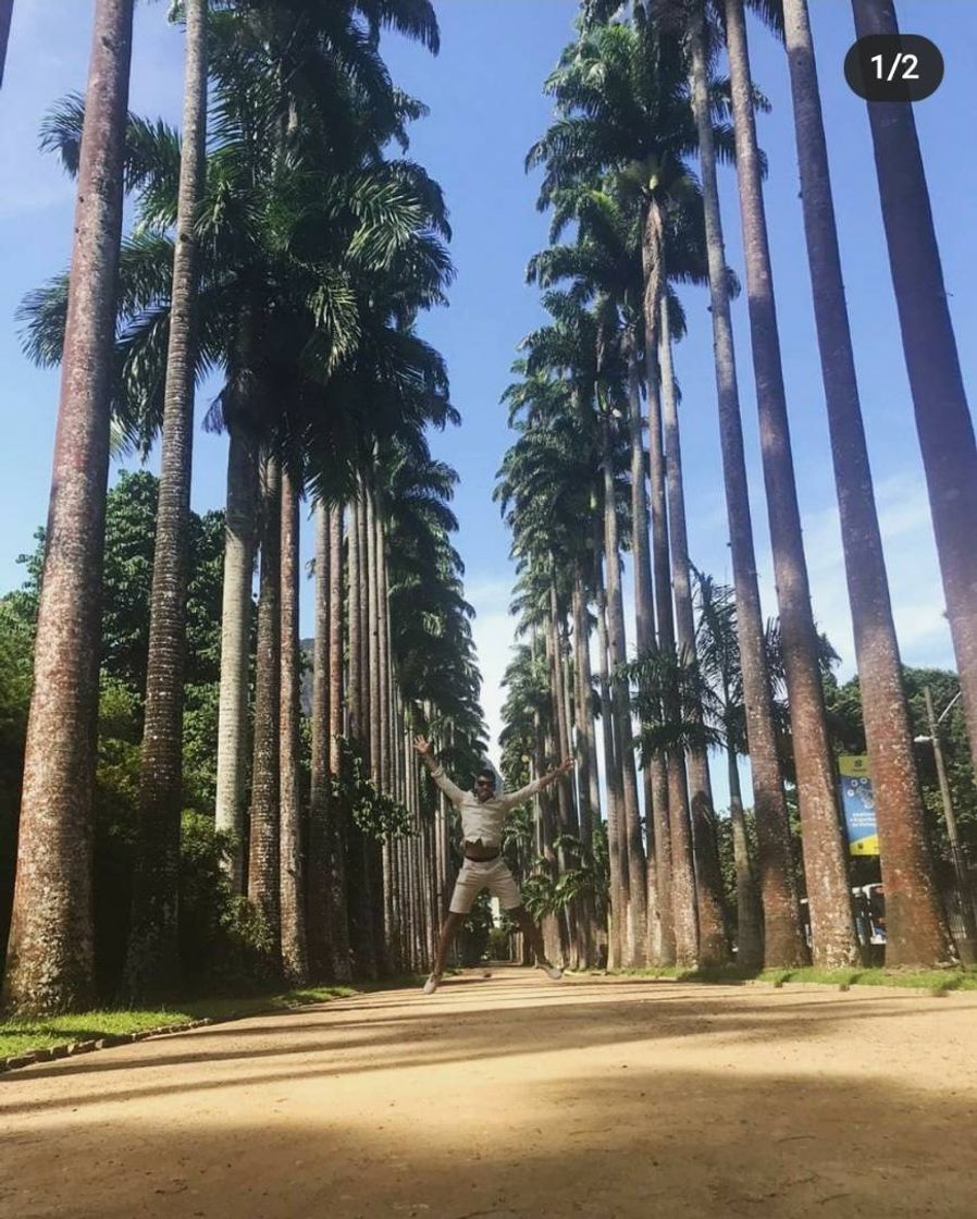 Place Jardim Botânico