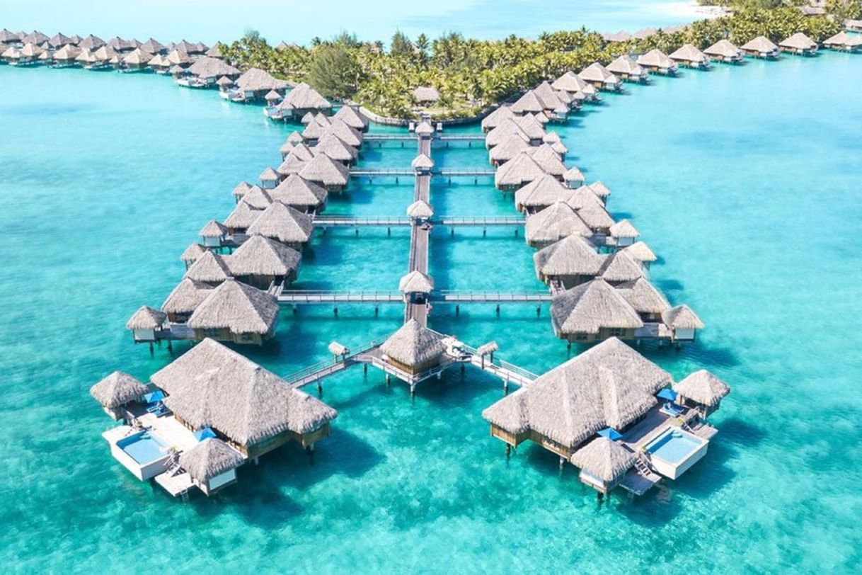 Moda Bora Bora 