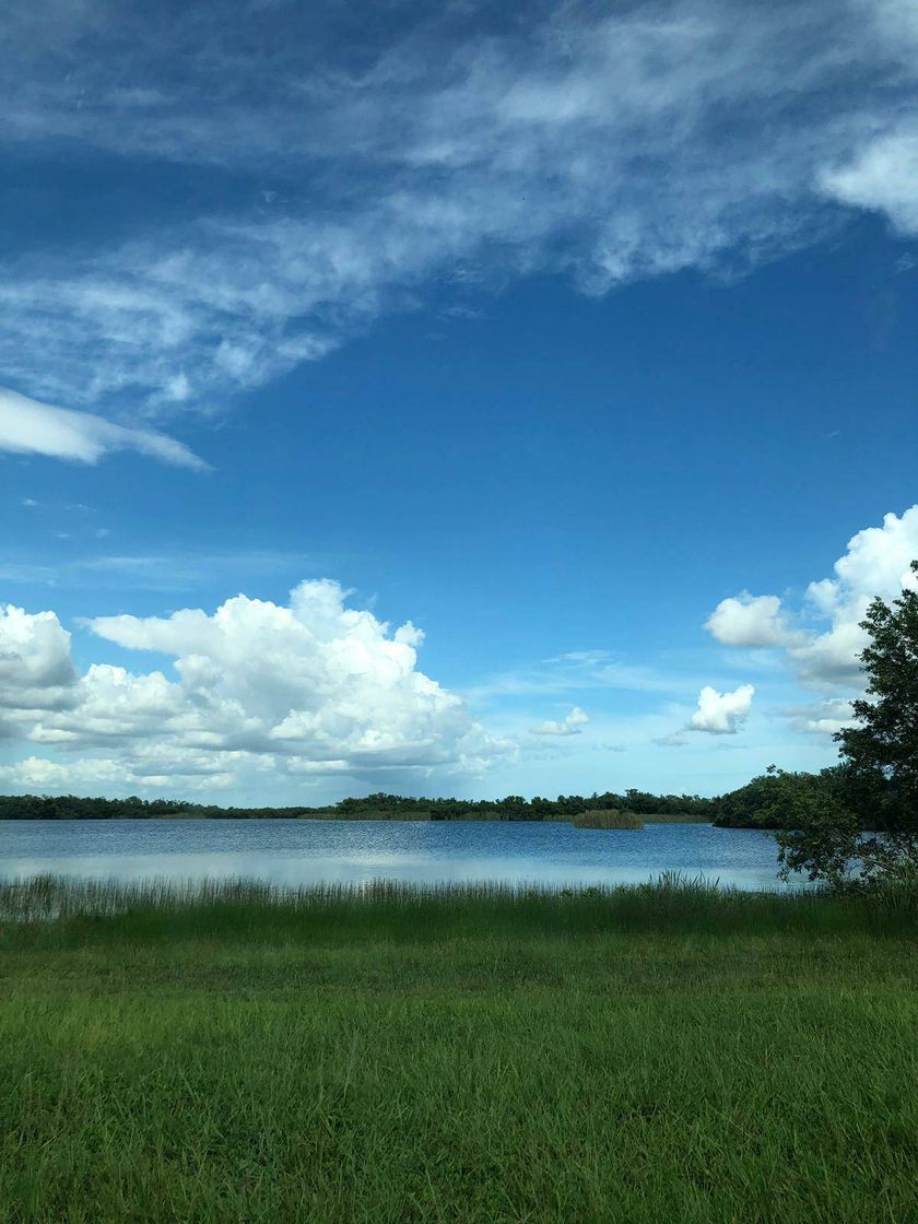 Lugar Everglades National Parks Visitor Center