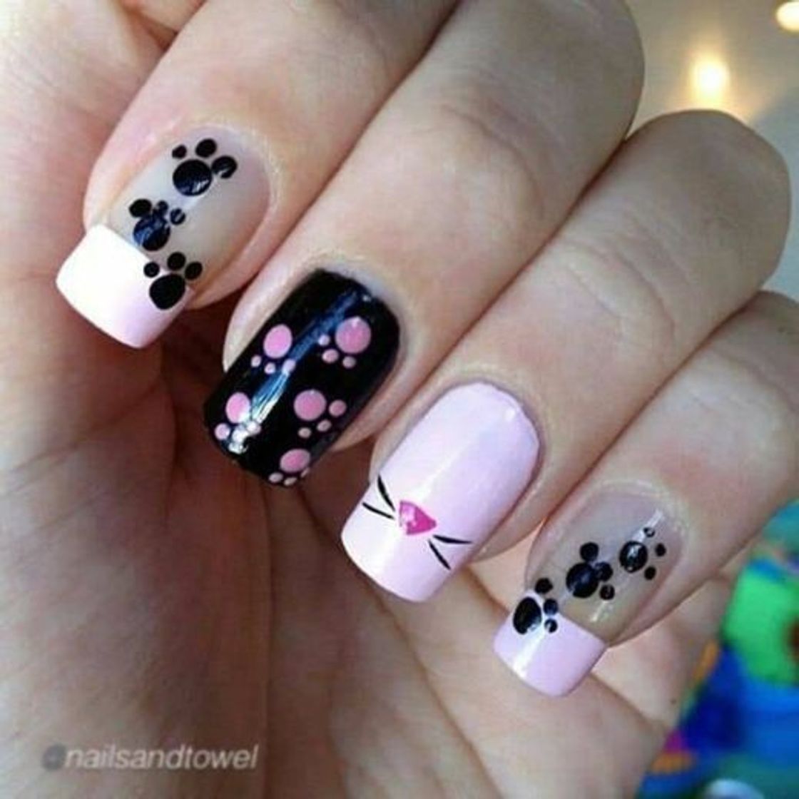 Moda Unhas de gatinhos