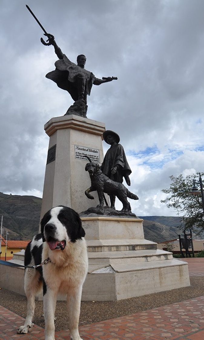 Lugares Monumento Al Perro Nevado