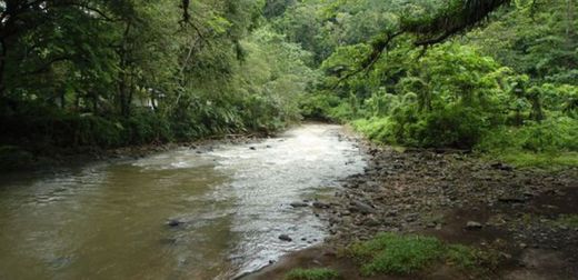 Parque Nacional Carara
