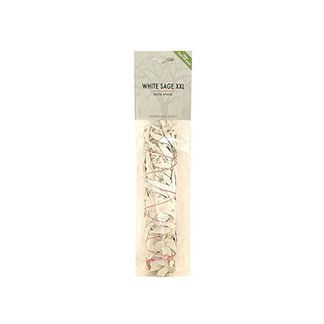 Productos XXL Salvia Blanca varillas Ramo de Smudge Stick (