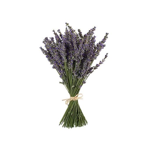 TooGet - Ramo de flores de lavanda natural