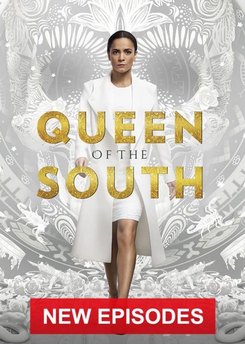 Serie Queen of the South | Netflix