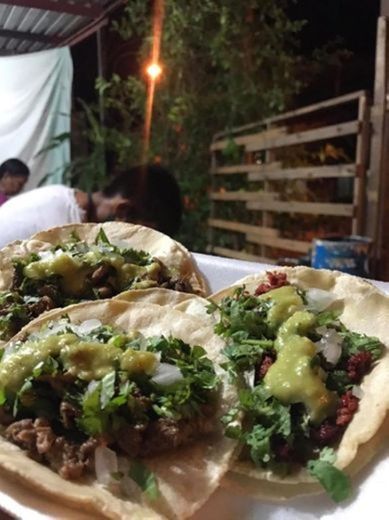 Los mejores tacos que eh probado en Mexico 🇲🇽 