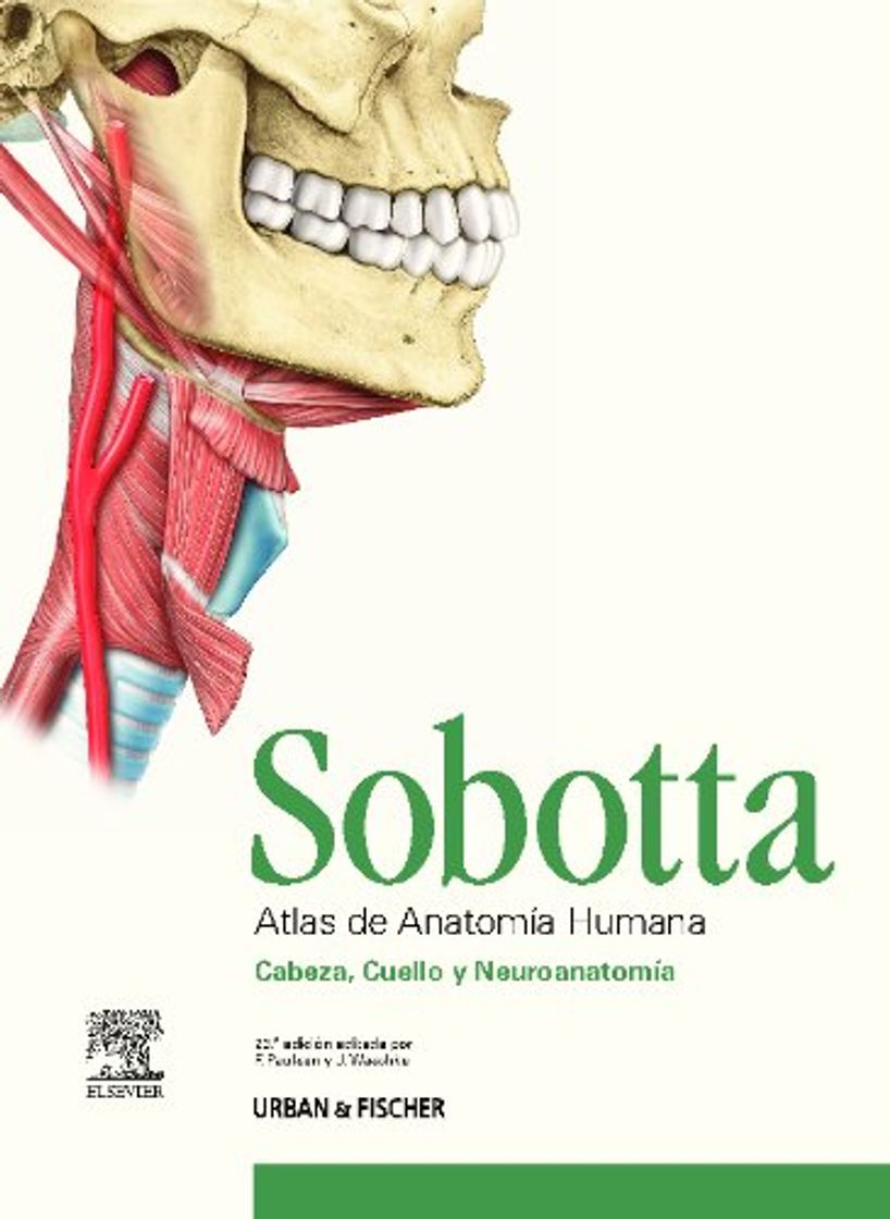 Libro SOBOTTA. Atlas de Anatomía Humana 3 VOL.