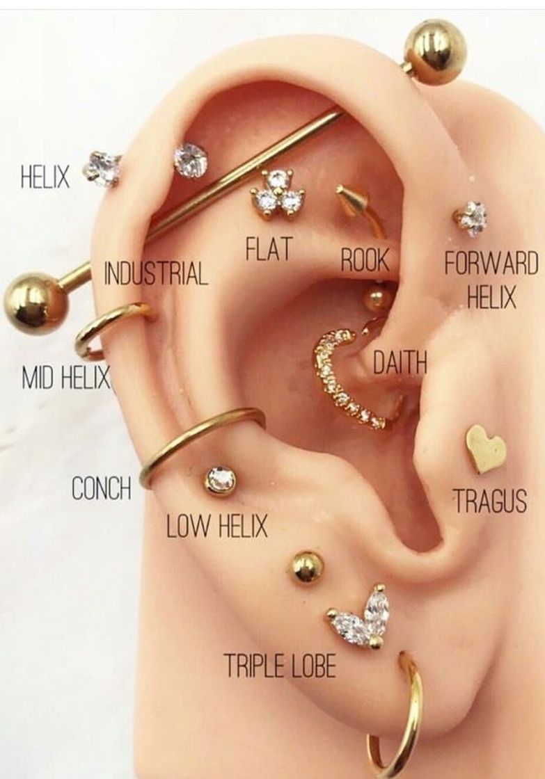 Moda orelha piercings 