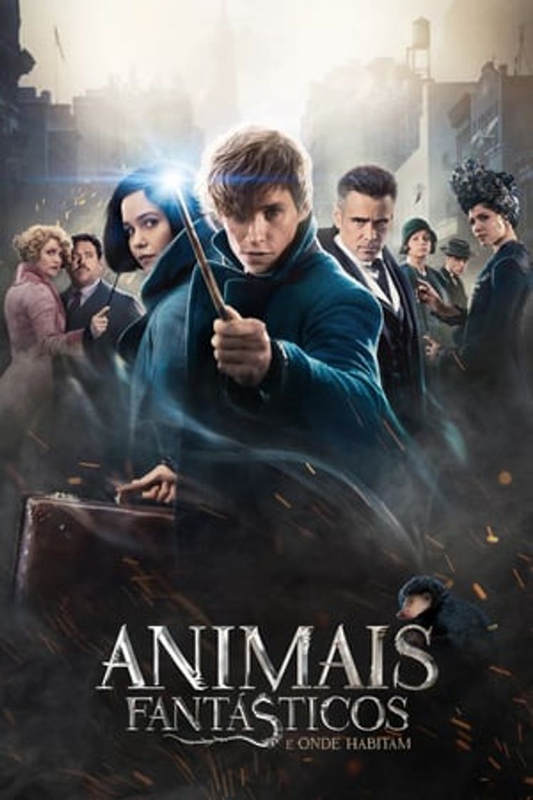 Película Animales fantásticos y dónde encontrarlos