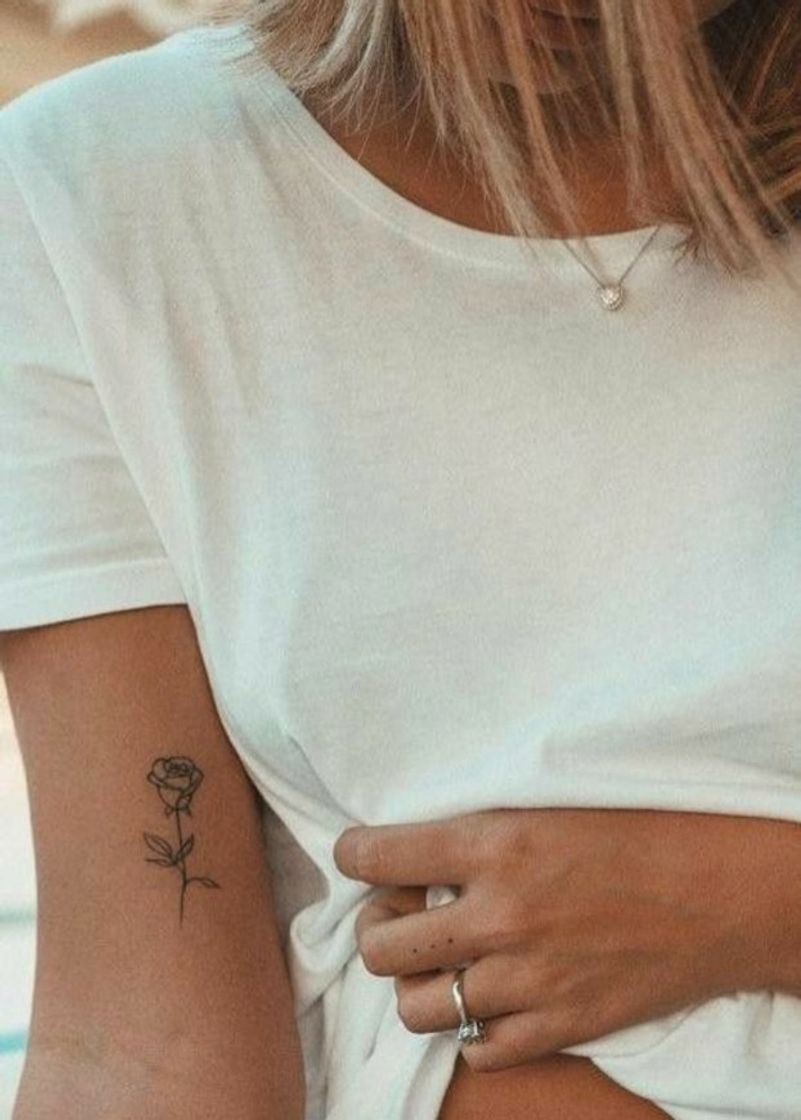 Social Rose 🌹