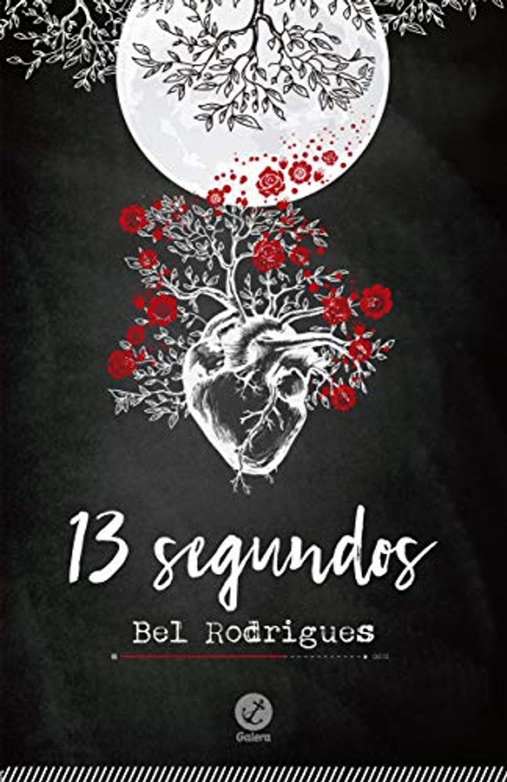 Libro 13 Segundos