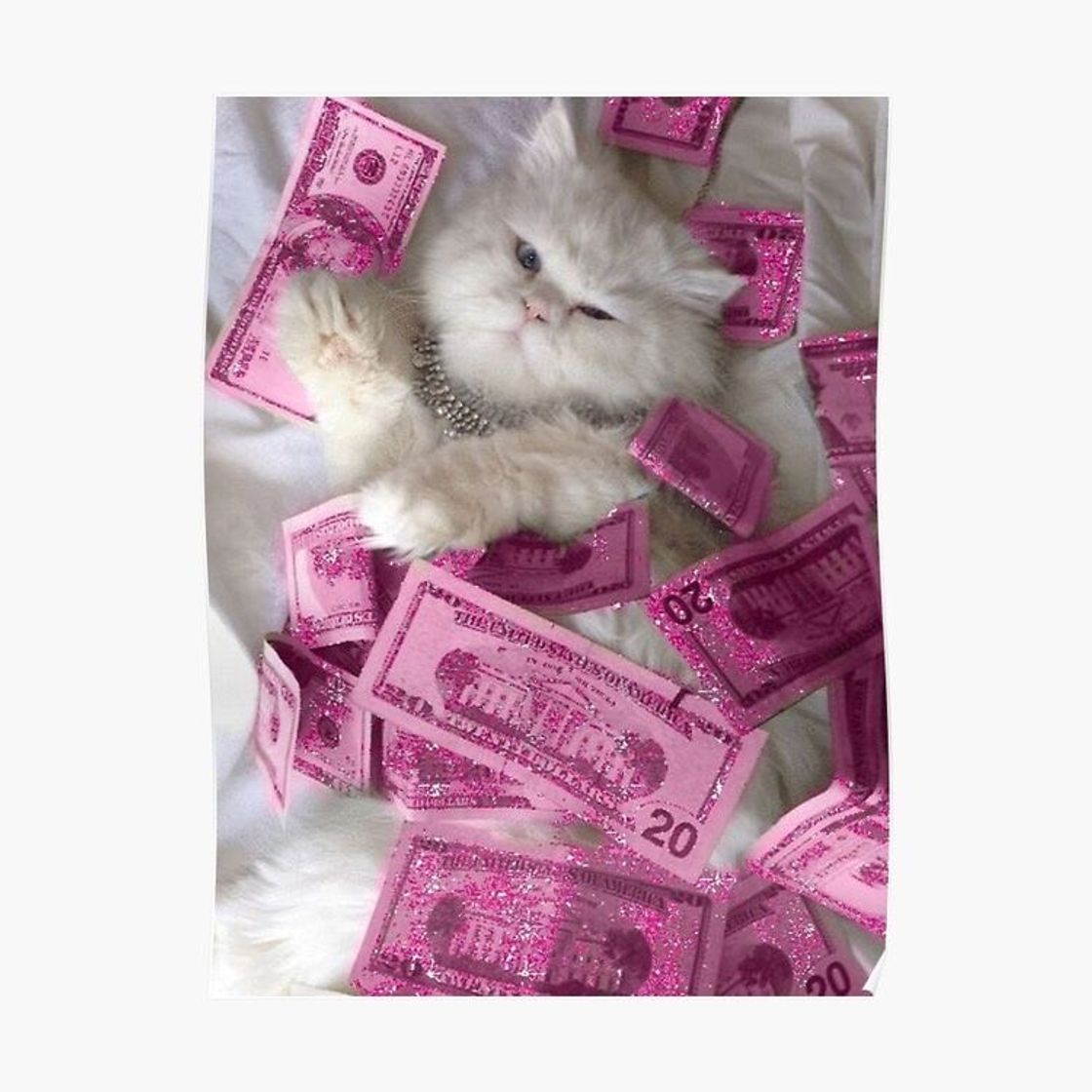 Moda 🐈 💵