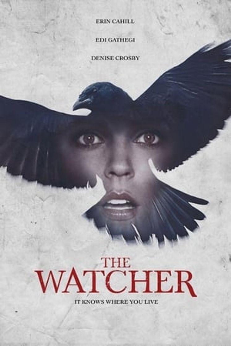 Movie El misterio de la casa del cuervo