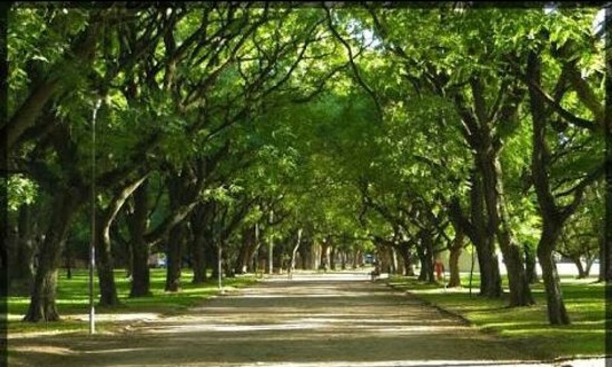 Place Parque Marinha do Brasil