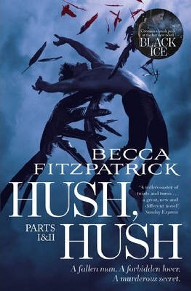 Book Hush, Hush