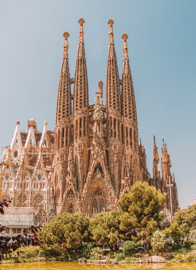 Lugar Basílica Sagrada Familia