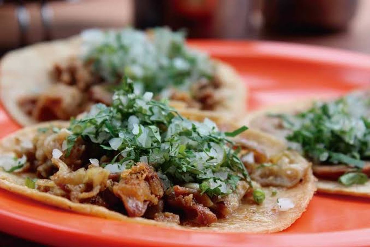 Restaurants Tacos Latosos