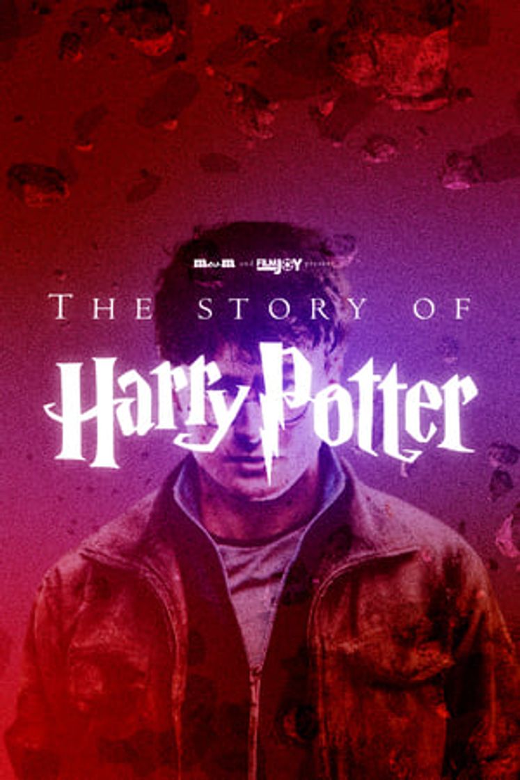 Película The Story of Harry Potter