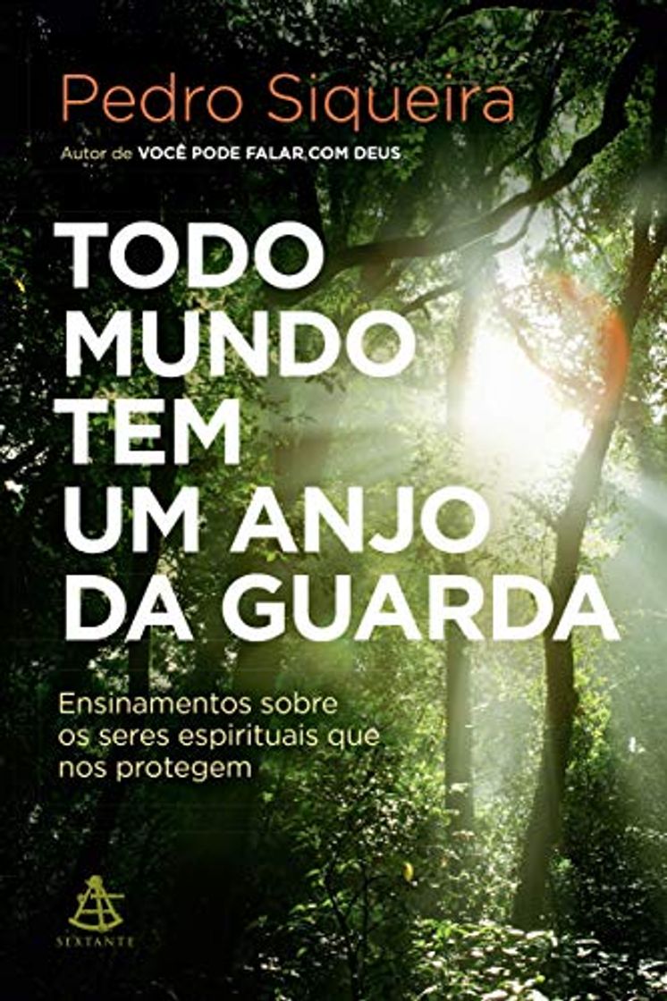 Book Todo Mundo Tem Um Anjo da Guarda