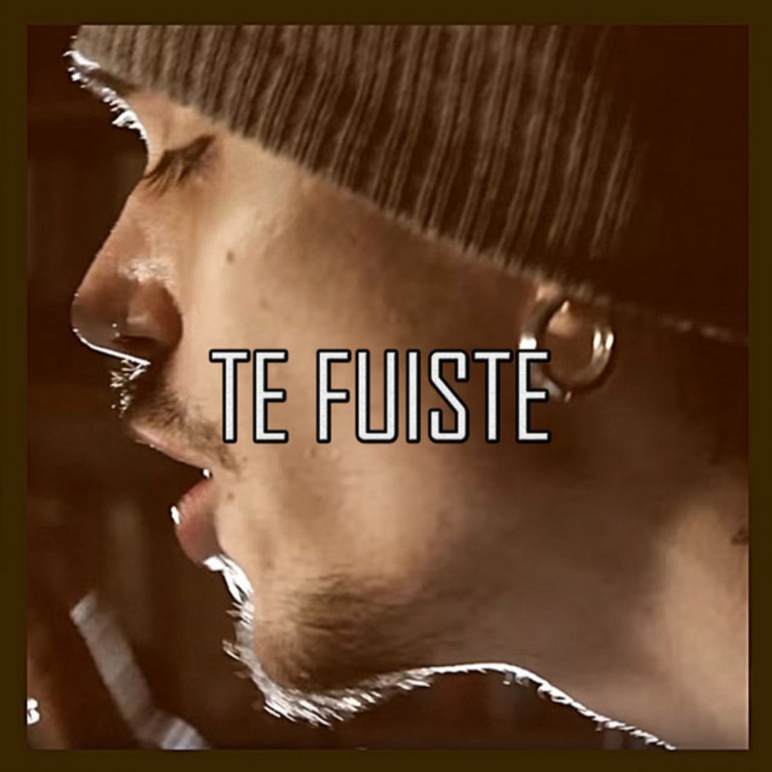 Canción Te Fuiste