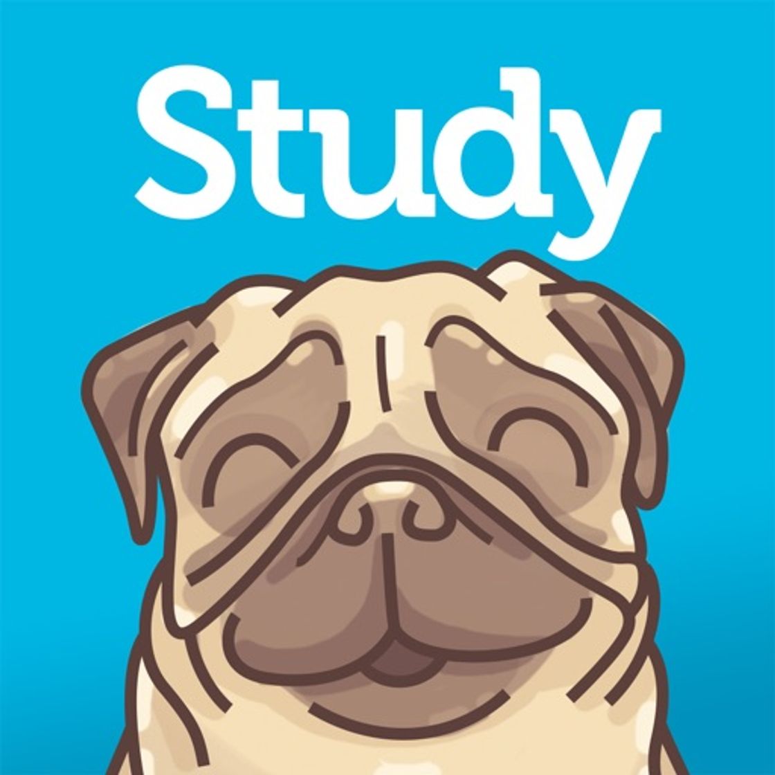 App StudyPug — Expert Math Tutors