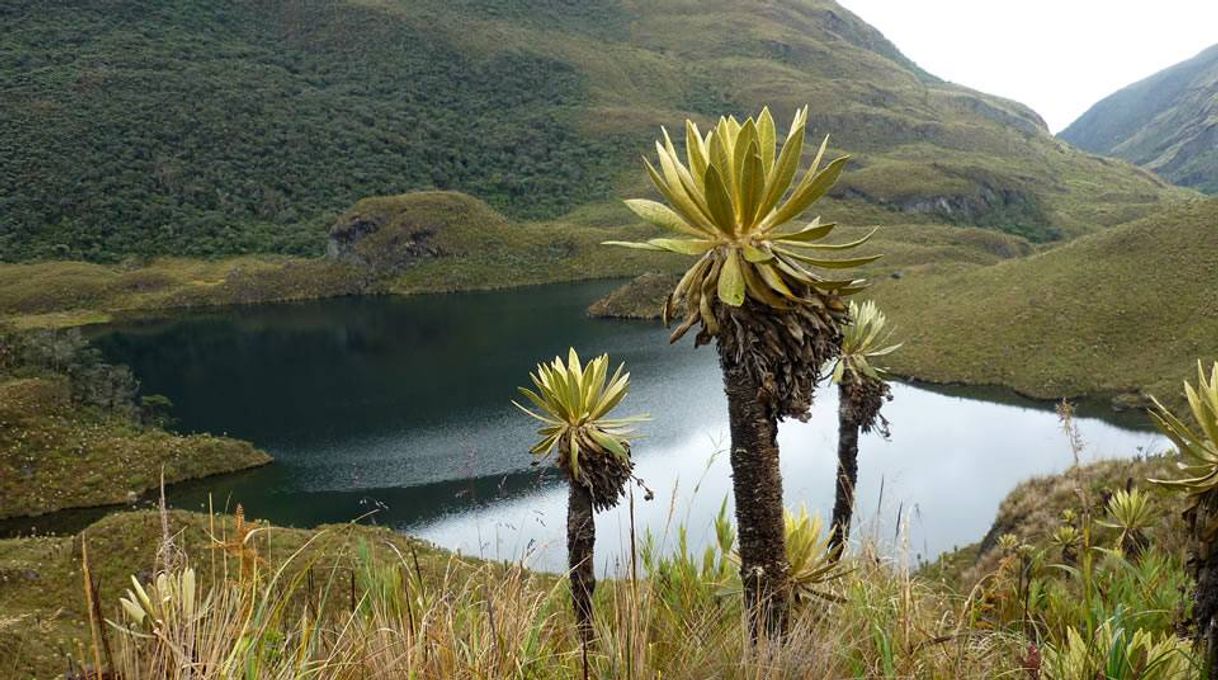 Lugar Paramo de Las Hermosas