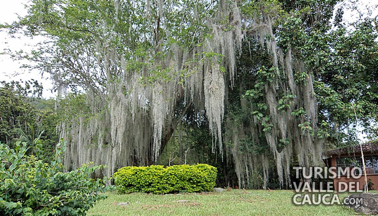 Lugar Jardín Botánico Juan María Céspedes