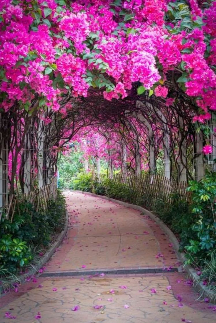 A natureza e perfeita 