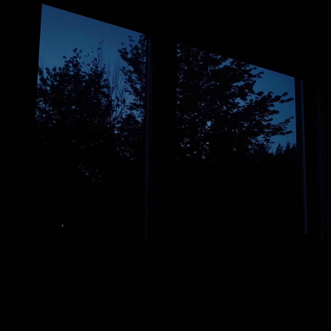 Music Shadows