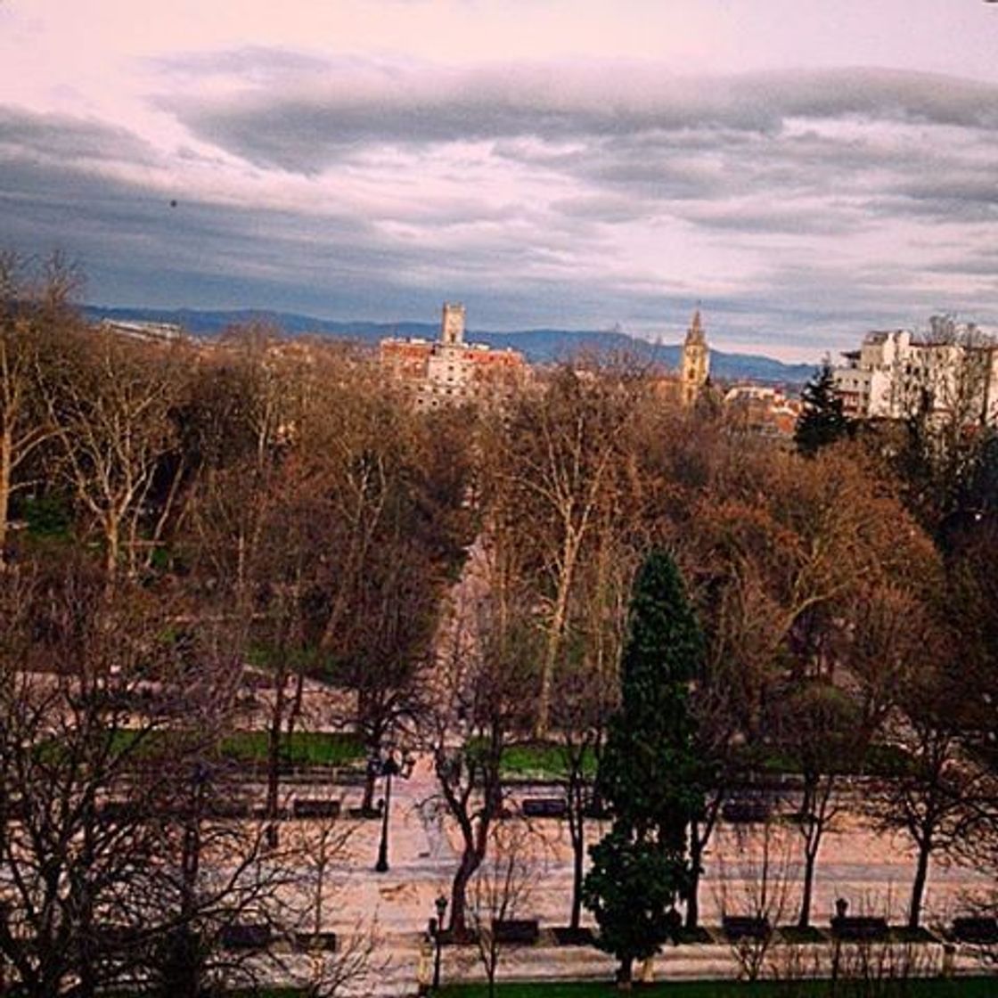 Lugar Parque San Francisco