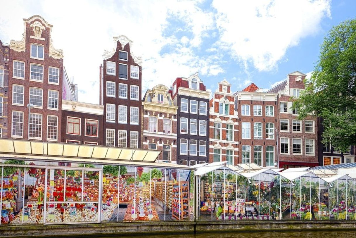 Lugar Bloemenmarkt