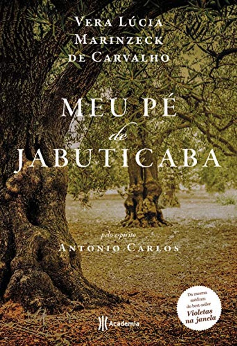Book Meu pé de jabuticaba