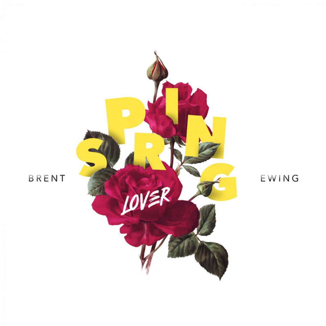 Canción Spring Lover