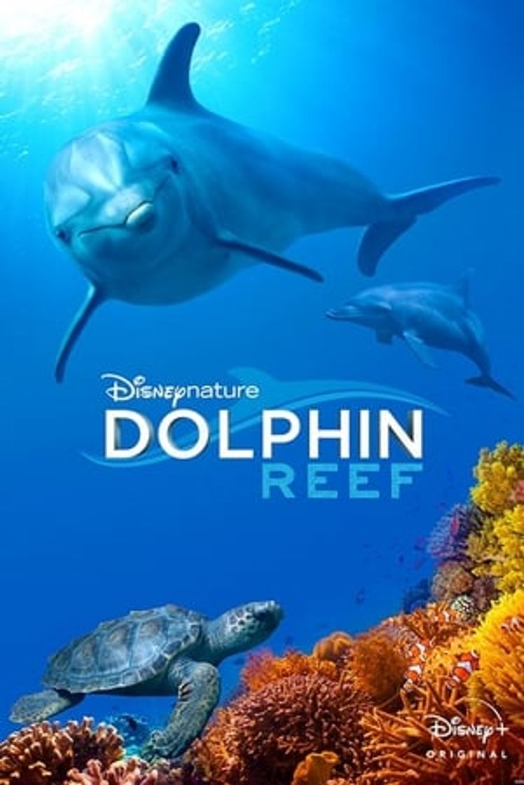 Película Delfines: La vida en el arrecife