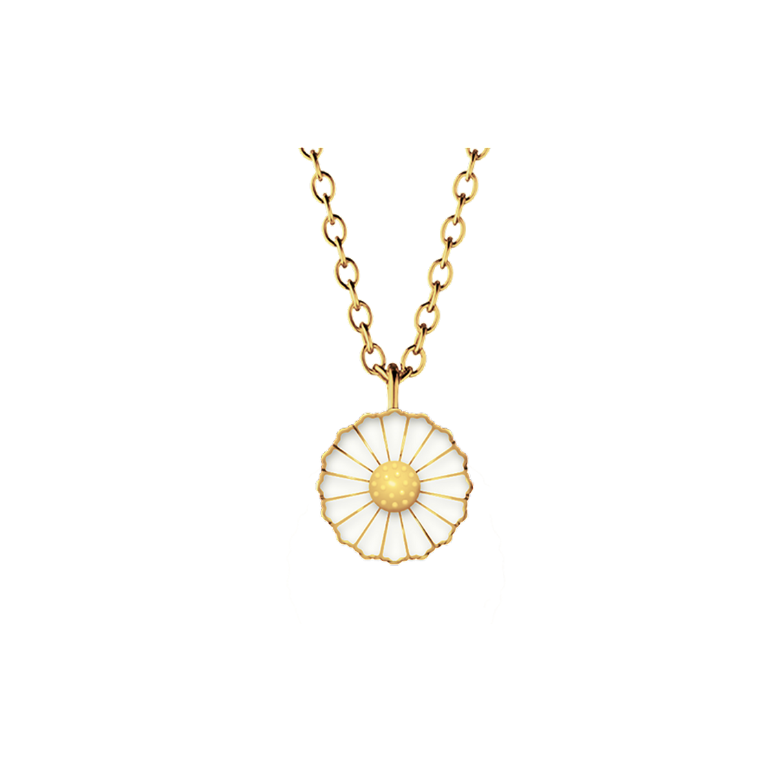 Fashion Daisies Necklace