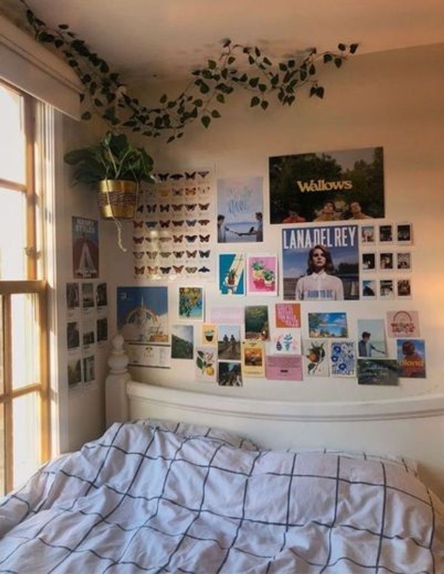 Social room decoration