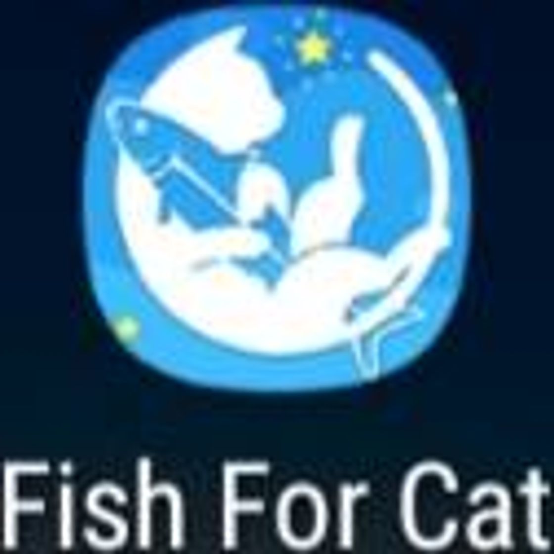 Moda FISH FOR CAT