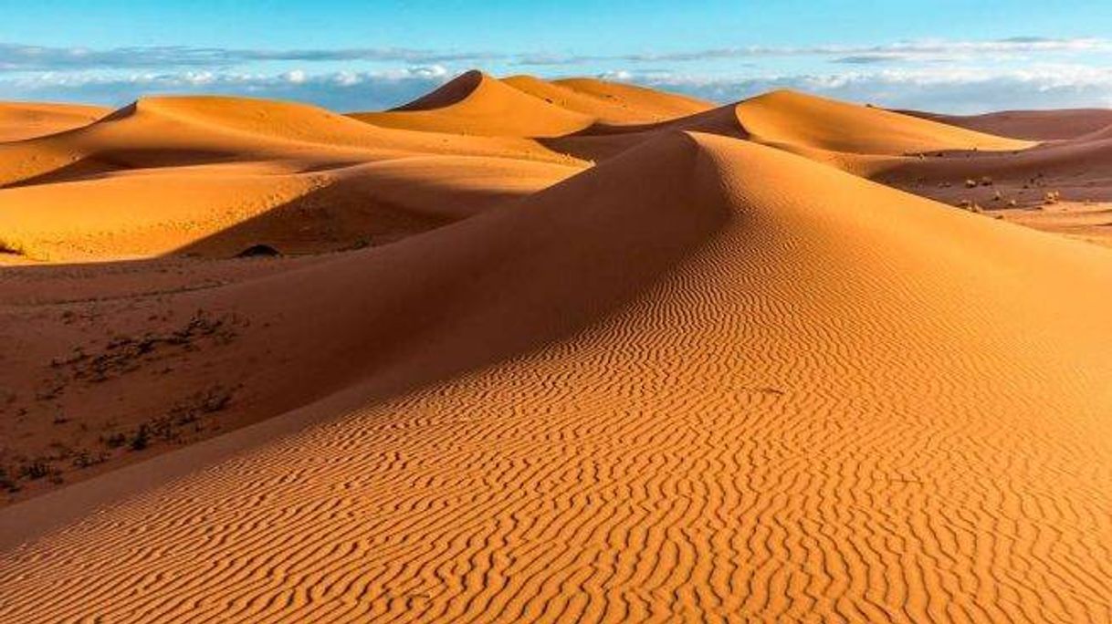 Place Sahara Desert